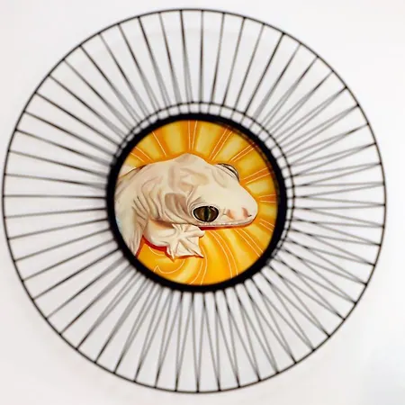 Le Jardin Secret De 3*